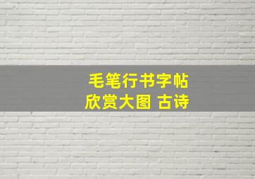 毛笔行书字帖欣赏大图 古诗